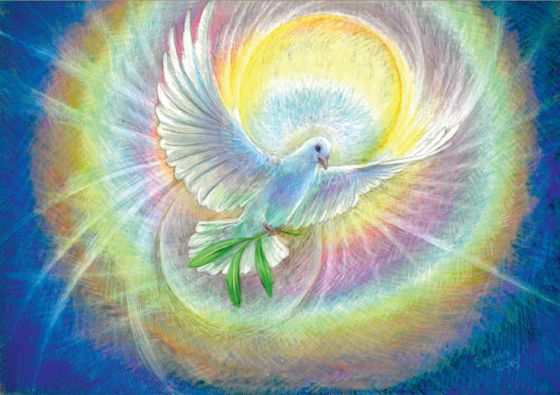 A white dove with an olive branch